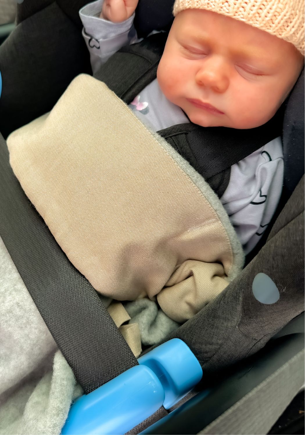 LELY das wollige Wettercover Nebula