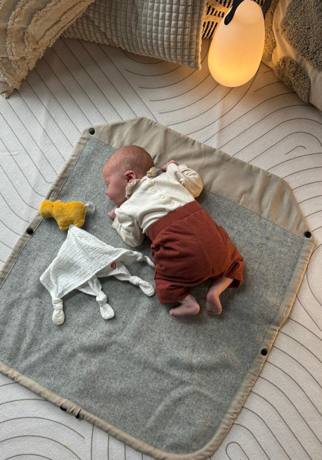 LELY das wollige Wettercover Nebula